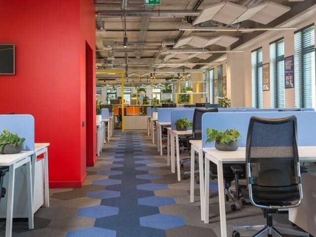 四川新能源安全光栅技术指导